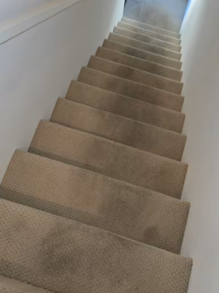 Prince Of Carpet Cleaning Los Angeles Carpet Cleaning in Los Angeles