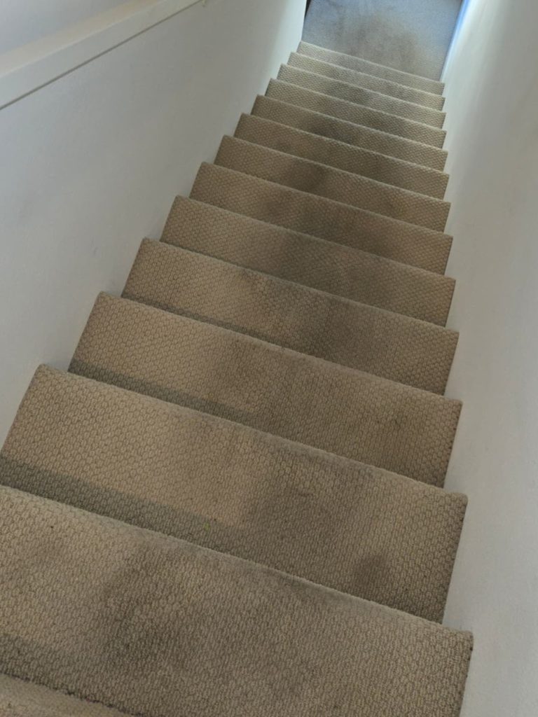 Prince Of Carpet Cleaning Los Angeles Carpet Cleaning in Los Angeles
