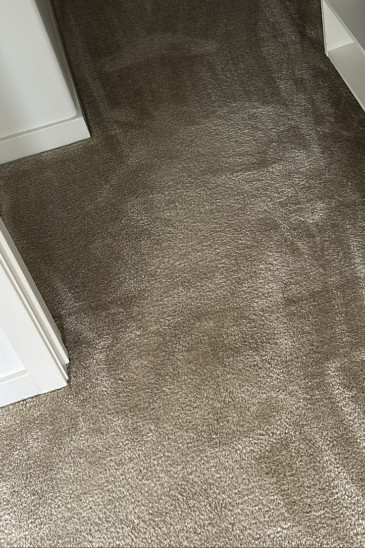 About Prince Of Carpet Cleaning 1 Prince of Carpet1