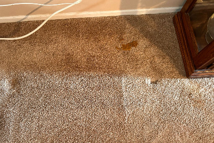 About Prince Of Carpet Cleaning 2 Prince of Carpet2